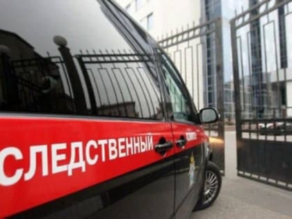В ДНР завершено расследование уголовного дела в отношении мужчины, совершившего общественно опасное деяние