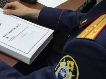 В ДНР перед судом предстанет местный житель за смертельное избиение знакомого, совершенное в 2013 году