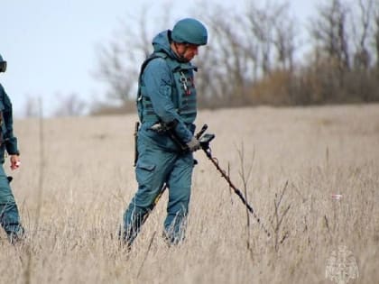 В Петровском районе Донецка обнаружены мины «Лепесток»