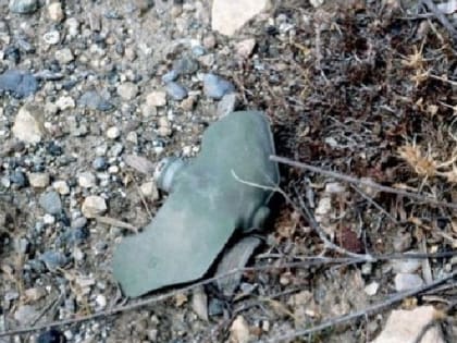 Четверо детей ранены в Донецке от подрыва на противопехотной мине «Лепесток»