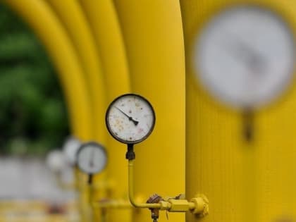 В Совфеде поддержали новый договор с Китаем по газу