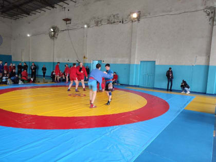 Сегодня, 29 апреля, в Торезе прошло открытое первенство Донецкой Народной Республики по самбо