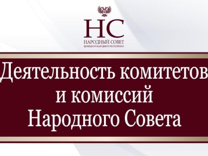 В четверг, 4 августа, продолжилась законопроектная работа в комитетах Народного Совета Донецкой Народной Республики