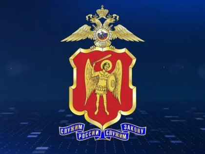 Полицейские справились с поставленными задачами в Новогоднюю ночь