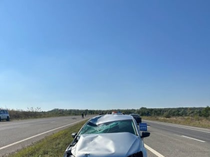 За выходные дни с 16 по 17 сентября 2023 года на автодорогах Республики сотрудники ГИБДД выявили 256 нарушений ПДД, в то