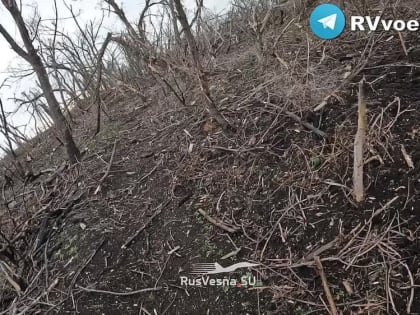 "Вылазьте все. Не стрелять в них!" - кадры захвата боевиков ВСУ бойцами ДНР