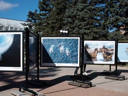 Природные красоты России в фотопанно от Музея Победы увидят жители многих городов ДНР