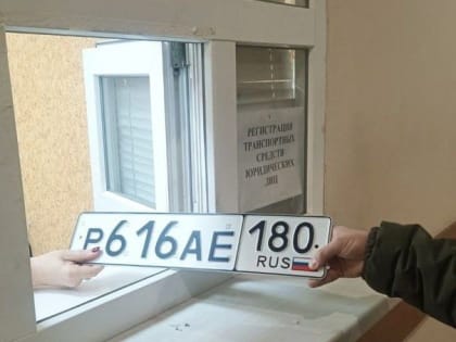 В УГИБДД МВД по ДНР сообщили о режиме работы МРЭО в новогодние каникулы