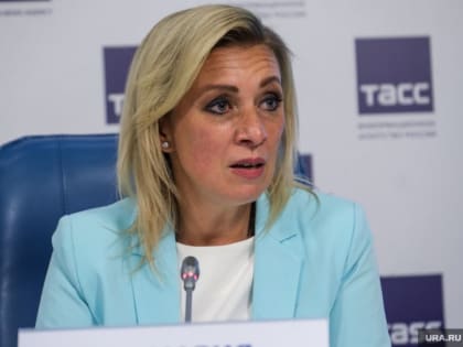 В МИД назвали Украину «террористическим зверьем» из-за атак на Донецк