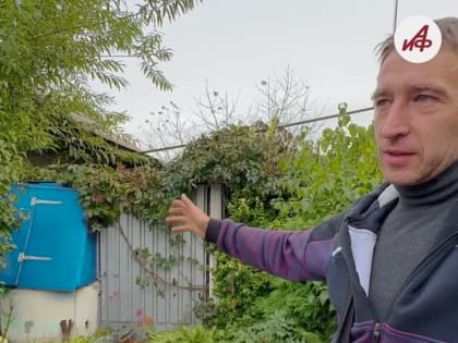 Сегодня в России отмечается День волонтера