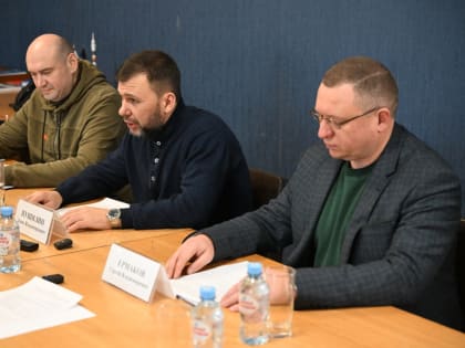 Денис Пушилин и Вячеслав Федорищев подвели итоги года по восстановлению подшефного Самарской области города Снежное и обсудили планы на 2025 год