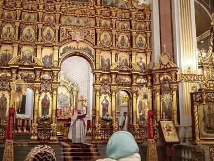 Анна Долгарева: То, что я успела снять вчера в Свято-Преображенском кафедральном соборе Донецка