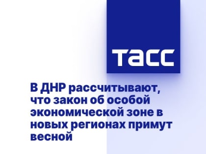 В ДНР рассчитывают, что закон об особой экономической зоне в новых регионах примут весной