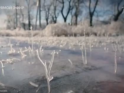 Марьяна Наумова: ЧТОБЫ ПОСКОРЕЕ ЗАКОНЧИЛАСЬ ВОЙНА: