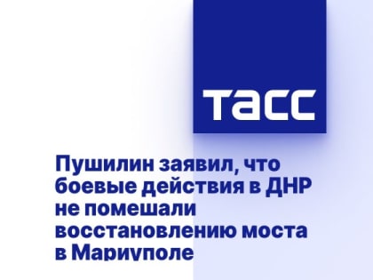 Пушилин заявил, что боевые действия в ДНР не помешали восстановлению моста в Мариуполе