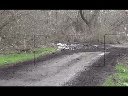 Роман Косарев: 10-й отдельный танковый батальон 1-го армейского корпуса Вооружённых сил России продолжает кошмарить наци