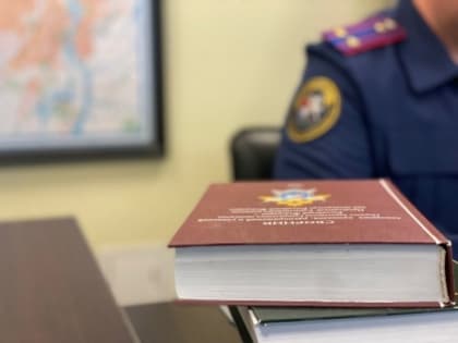 В ДНР мужчина признан виновным в совершении особо тяжкого преступления