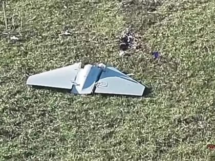 Бойцы Росгвардии сбили беспилотник ВСУ. БПЛА самолётного типа поражён огнём из стрелкового оружия при проведении разведы