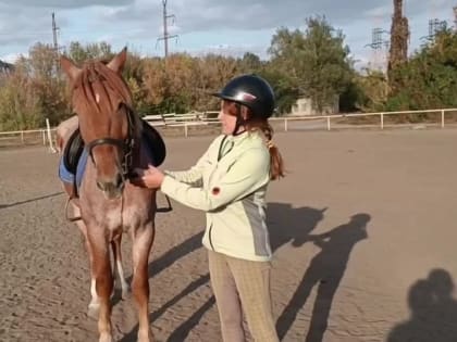 Признание в любви своим питомцам