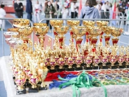 Толстыкина: ничто не повлияет на развитие спорта и физкультуры в ДНР