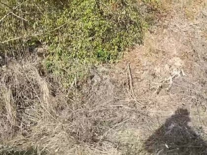 Перед судом предстанет 52-летняя женщина, обвиняемая в подготовке террористического акта в Запорожской области