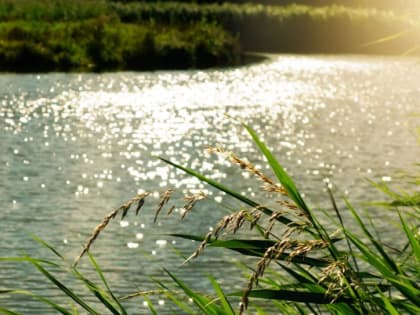 В новых регионах восстановлено более 80 км заиленных и заросших русел рек, сообщили в Минприроды