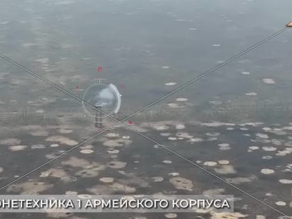 Бронетехника 110 бригады атакует Невельское при поддержке «Солнцепёков»