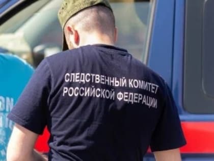 Расследование уголовного дела о жестоком убийстве завершено в Донецкой Народной Республике