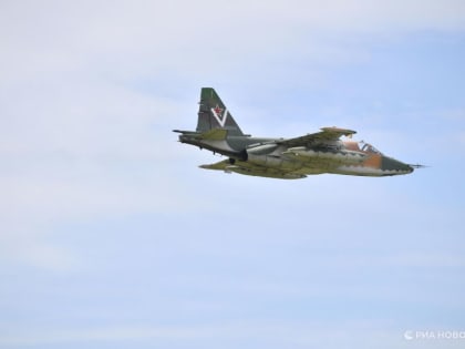 МО: Су-25 ВКС нанесли удар по опорному пункту ВСУ на Донецком направлении