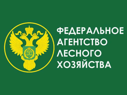 Рослесхоз: на территории ЛНР, ДНР, Запорожской и Херсонской областей будет проведено лесоустройство в 2024 году