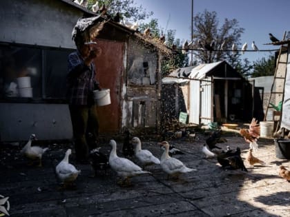 Денис Григорюк: Неоднократно рассказывал о Николае, который живет в нескольких сотнях метров от Донецкого аэропорта весь