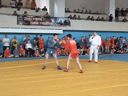 «Zа самбо» в честь 100-летия образования спортивного общества «Динамо»