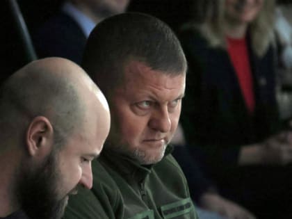 Убивать женщин и детей: Залужный реализует в России жуткий план