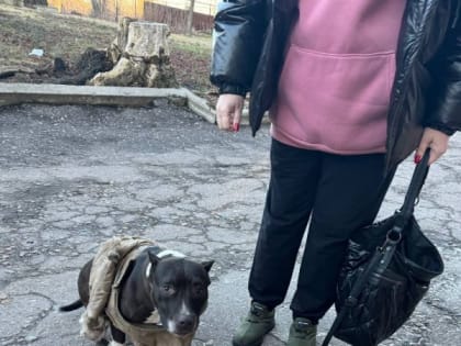 Доброе утро! Бегает на площади Свободы