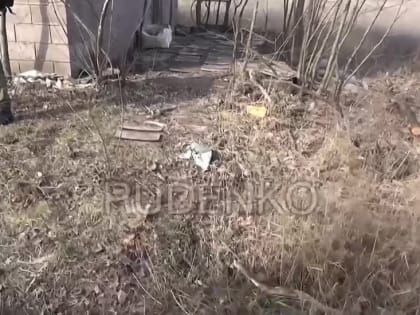 Андрей Руденко: УФСБ России по Донецкой Народной Республике на территории г. Волноваха выявлены несколько схронов с оруж