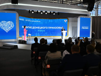 Денис Пушилин на пленарной сессии по развитию Азово-Черноморского макрорегиона ответил на вопросы о привлечении инвесторов в ДНР