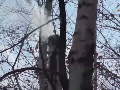 Бои на Новгородско-Дзержинском направлении: воины из 132 мотострелковой бригады методично выстёгивают противника