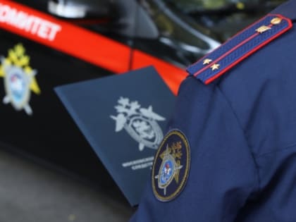 Следователями СК России организована процессуальная проверка по факту смерти несовершеннолетнего в городе Горловке