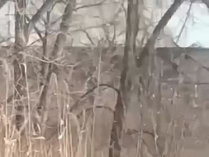 Андрей Руденко: ЧВК «Вагнер» взяла под контроль населенный пункт Красная гора Донецкой области, — Пригожин