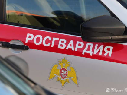 Росгвардейцы спасли водителя, попавшего в аварию в ДНР