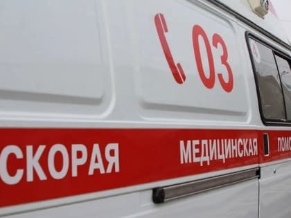 Мэр Донецка Кулемзин: мирный житель подорвался на противопехотной мине Лепесток