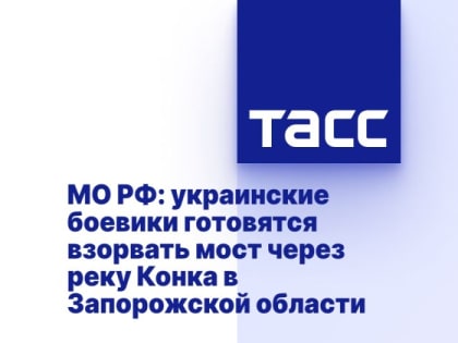 МО РФ: украинские боевики готовятся взорвать мост через реку Конка в Запорожской области