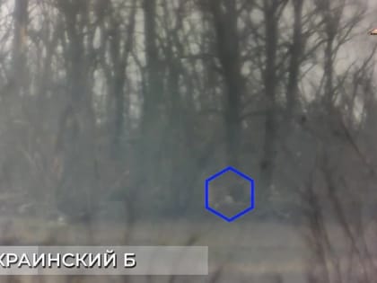 Снайперы 132 бригады ликвидировали двух украинских боевиков