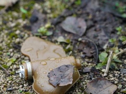 Мужчина подорвался на мине «Лепесток» в Донецке