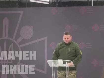 Залужный сообщил о возможной скорой сдаче важного пригорода Донецка