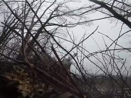 В период с 23-го по 29-е декабря ВС РФ нанесено 50 групповых и один массированный удар высокоточным оружием и беспилотны