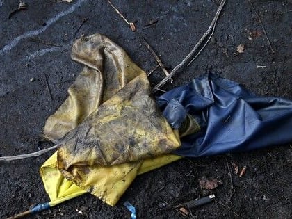 Донецкие ученые представят в Москве проект преодоления последствий украинизации