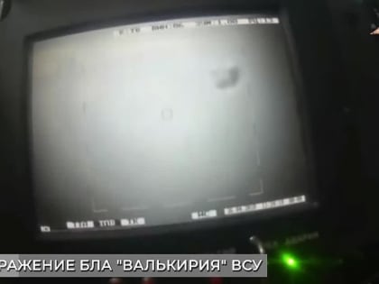 Зенитчики ЗРПК «Тунгуска» ДНР сбили БЛА «Валькирия» ВСУ