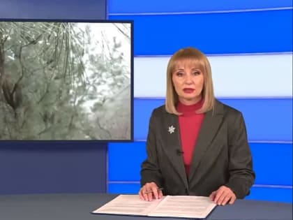 Поддержку лесникам Республики оказывают действующие федеральные программы