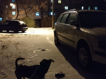 Для борьбы с гололедом на дорогах в Донецке сегодня использовали 287 тонн технической соли